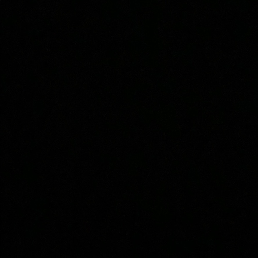 Meet your Posher, Siena